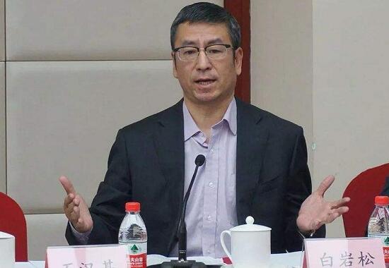 武漢“封城”效果是否明顯？上班后食堂集中用餐如何防護(hù)？白巖松連線